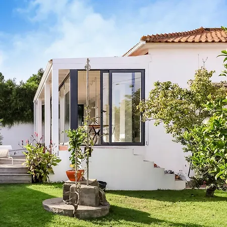 Josy Ferrel (Leiria)