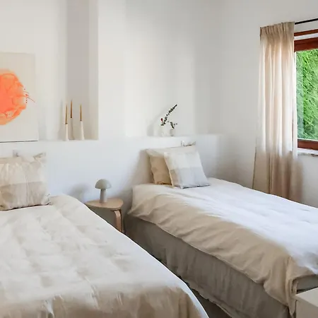 Josy Ferrel (Leiria)