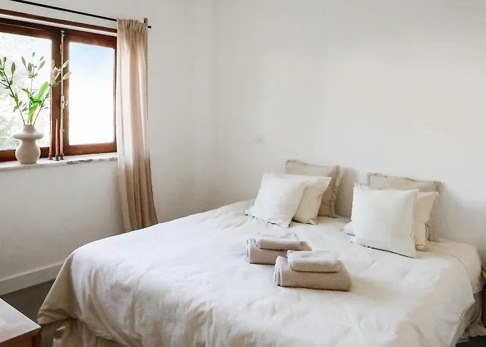 Josy Ferrel (Leiria)