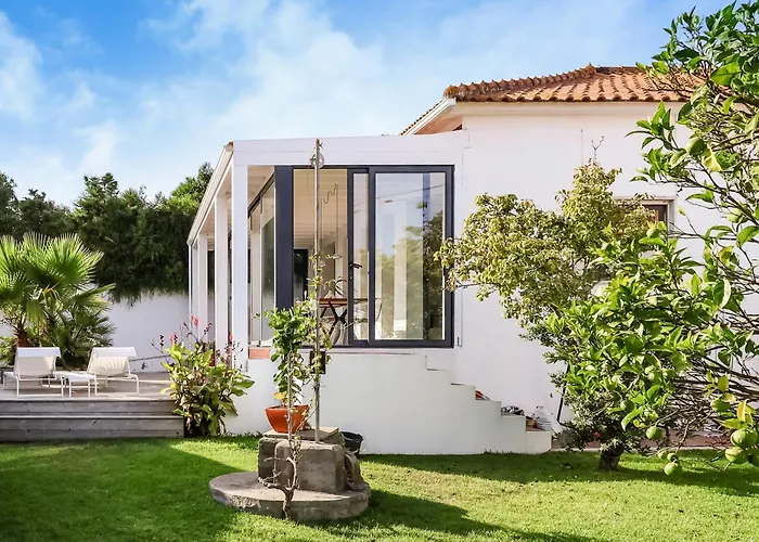 Josy Ferrel (Leiria)