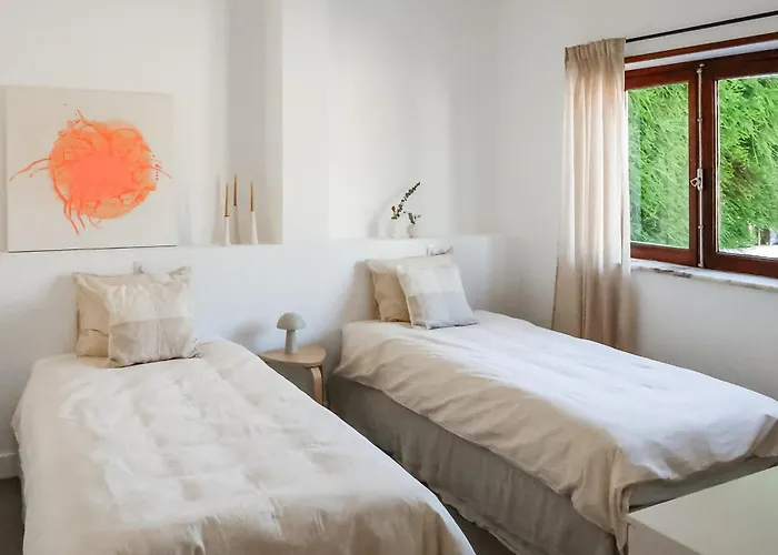 Josy Ferrel (Leiria)